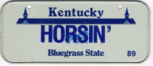 Kentucky Bicycle License Plate 89