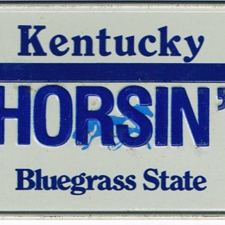 Kentucky Bicycle License Plate 89