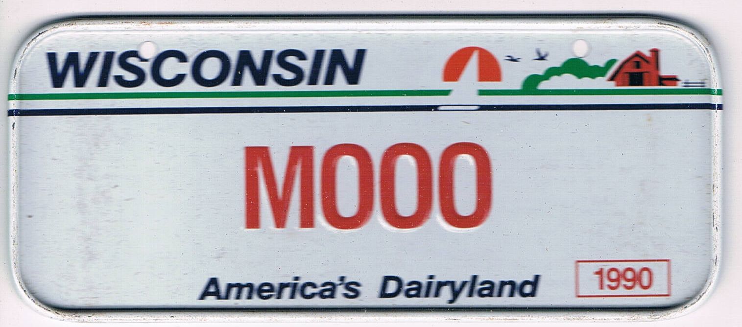 Wisconsin Bicycle License Plate 1990 Americas Dairyland